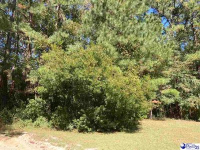 Old Kemper Rd, Lake View, SC, 29563