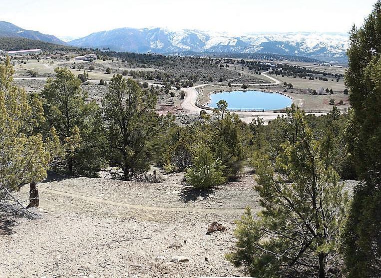 1st image of 655 Sorrel Hills Dr