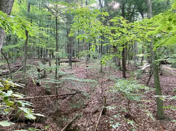 8420 Bailey Dr, Ada, MI 49301