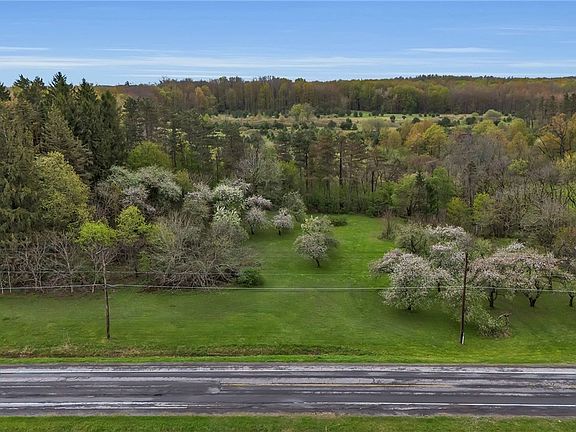 45th image of 12979 Bullis Rd