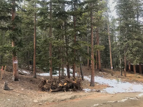 Aspen St, Alma, CO 80420