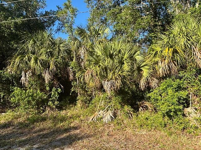 1st image of ABATE AVENUE LOT 5