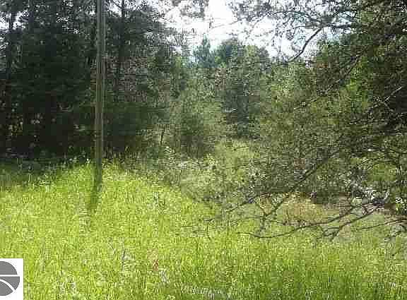 5th image of 0 Healy Lake Rd