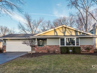 1528 Lark Ln, Naperville, IL, 60565