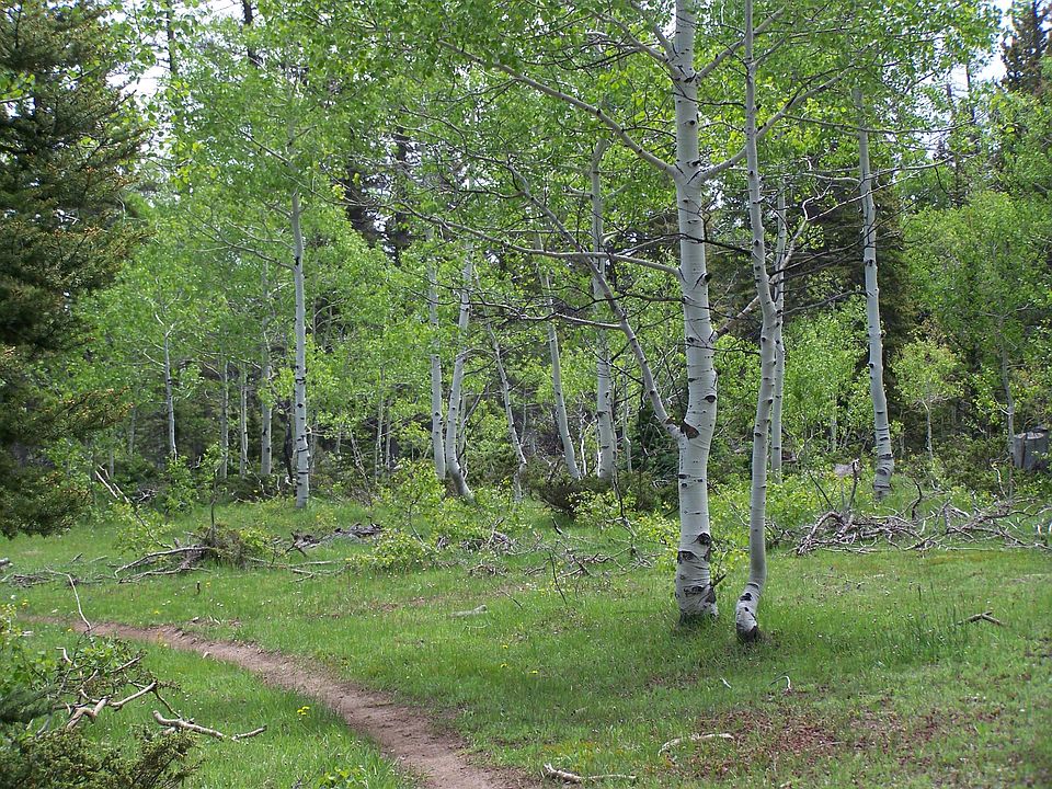 1st image of Tbd Divide Rd