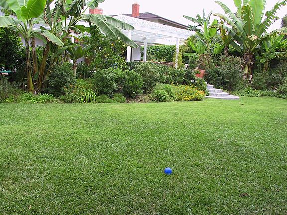 Fruit Trees: Bananas, Apricot, apples, oranges, lemons, avocados