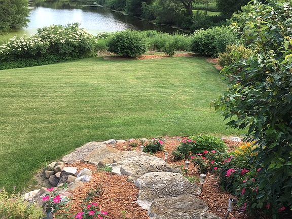 View of pond in back yard