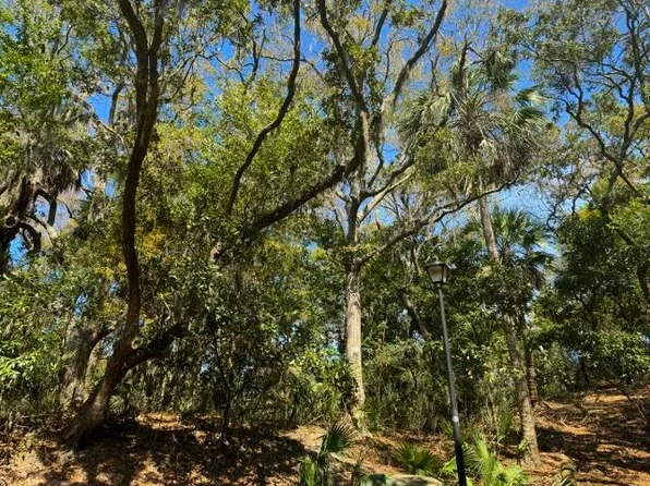 551 Pelican Ct, Edisto Island, SC 29438