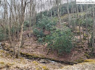 162 Raccoon Rd, Banner Elk, NC 28604