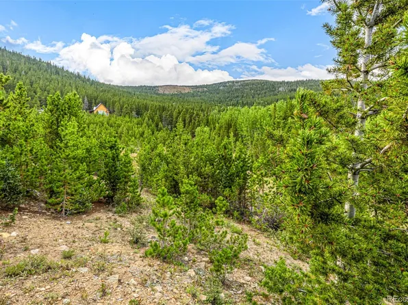 Aspen Rd, Idaho Springs, CO 80452