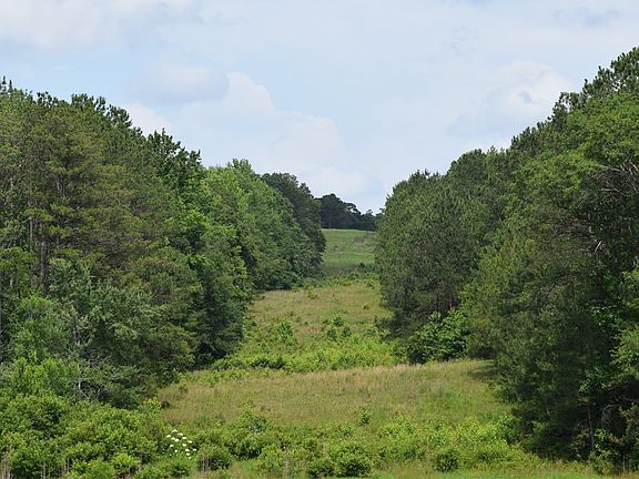 3rd image of 0 Lee Road 757