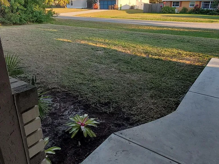 1116 Sunrise Rd — Photo 5