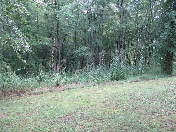 5th image of 824 Letha Petrey Rd