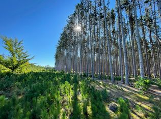 14188 60th Ave, Remus, MI 49340