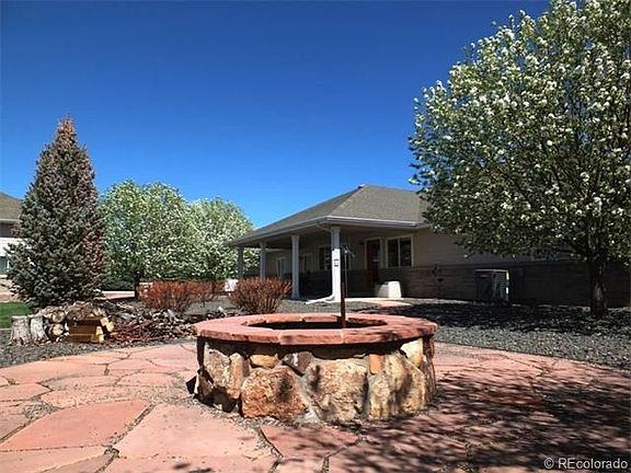 Firepit surrounded by trees