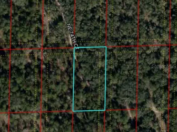 Bronson Fl, Bronson, FL 32621