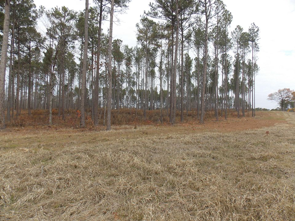 2nd image of 3 E Mosley Rd #3