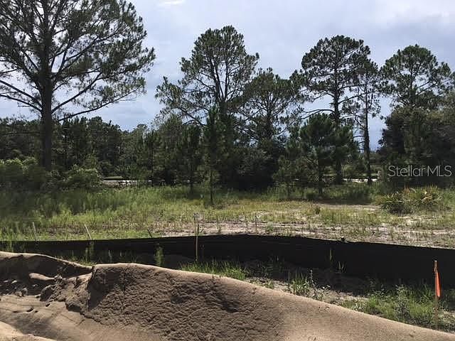 1st image of 333 AMBERJACK COURT LOT 419
