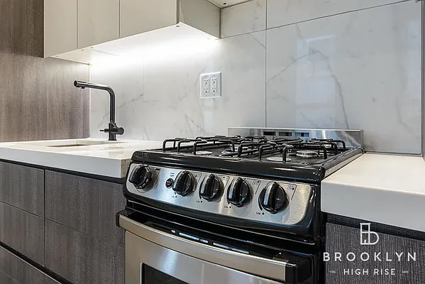 Rented by Brooklyn High Rise LLC | media 17