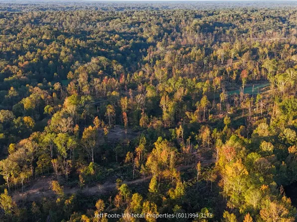 Rodney Rd Lot Wp002, Pt Gibson, MS 39150
