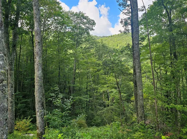 C25 Roaming Road, Glenville, NC 28736