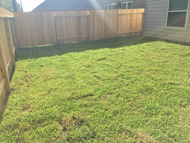 11911 Pia Dr — Photo 3