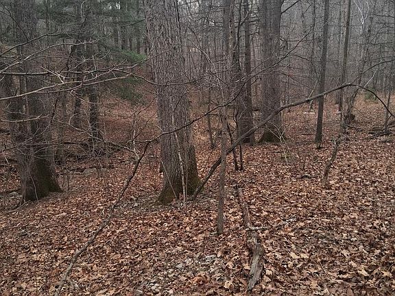 2nd image of Vesey Dr