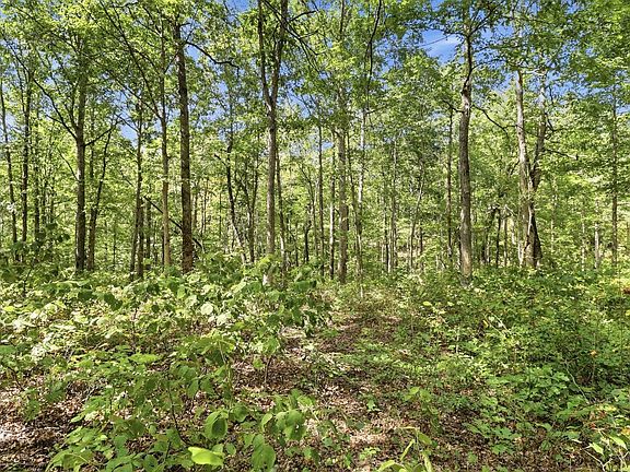 3rd image of 845 Ridgewood Dr Lot 17