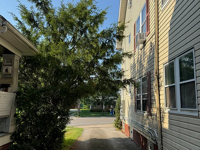 View of driveway from back of house