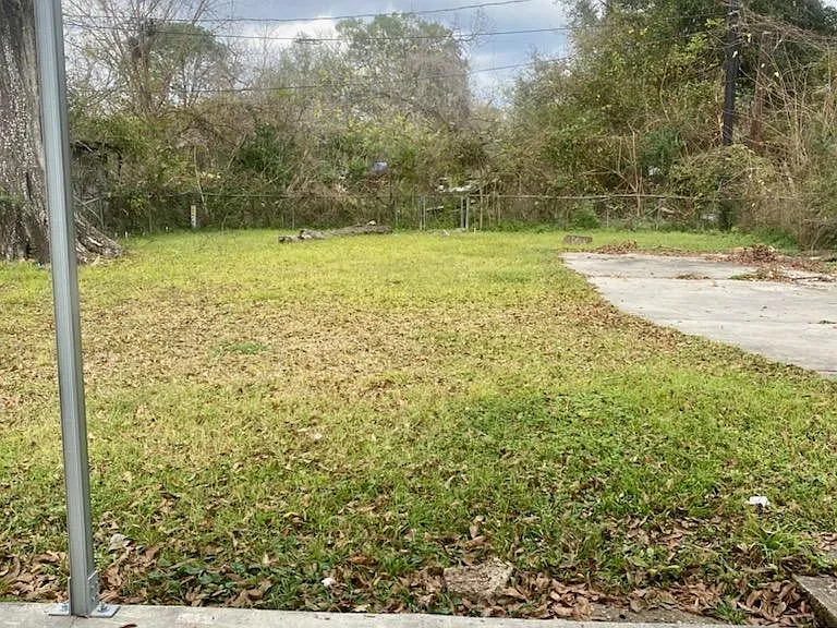 BIG Backyard