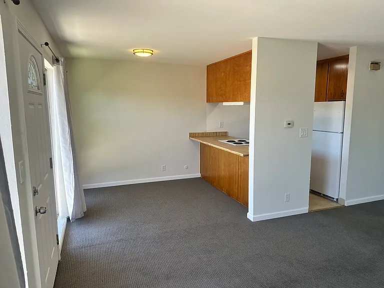 MADISON APARTMENT — Photo 5