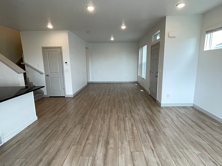 Entry/Living Room