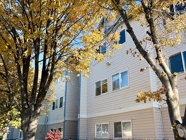 Northwood Apartments — Photo 19