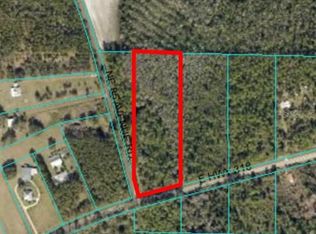 Tbd E Highway 318, Citra, FL 32113