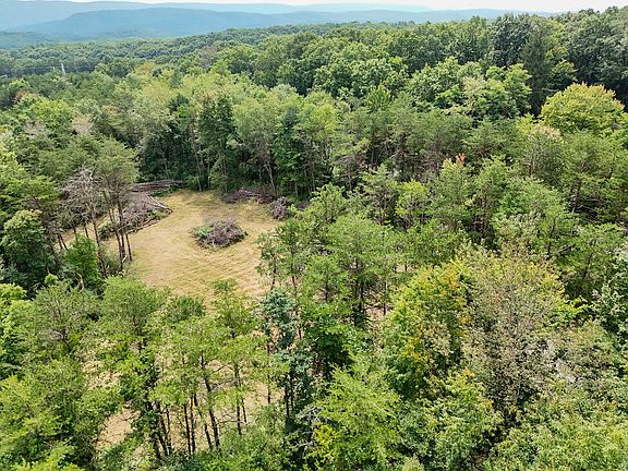 3rd image of 11265 Piney Ridge Rd