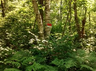 006-1095-05 Brook Lane, Cloverland, WI 54521