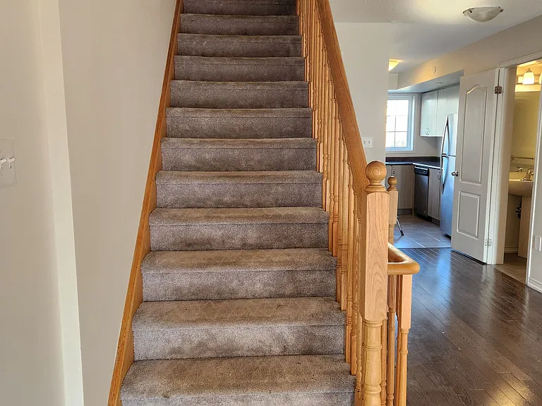 2564 Bromus Path — Photo 14
