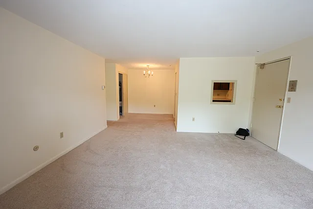 65 Elmwood Park #3 — Photo 14