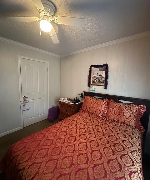 29 Mike Dr — Photo 31
