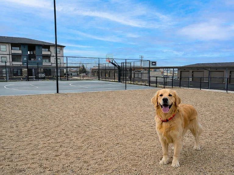 The Reserve at Northgate — Photo 15