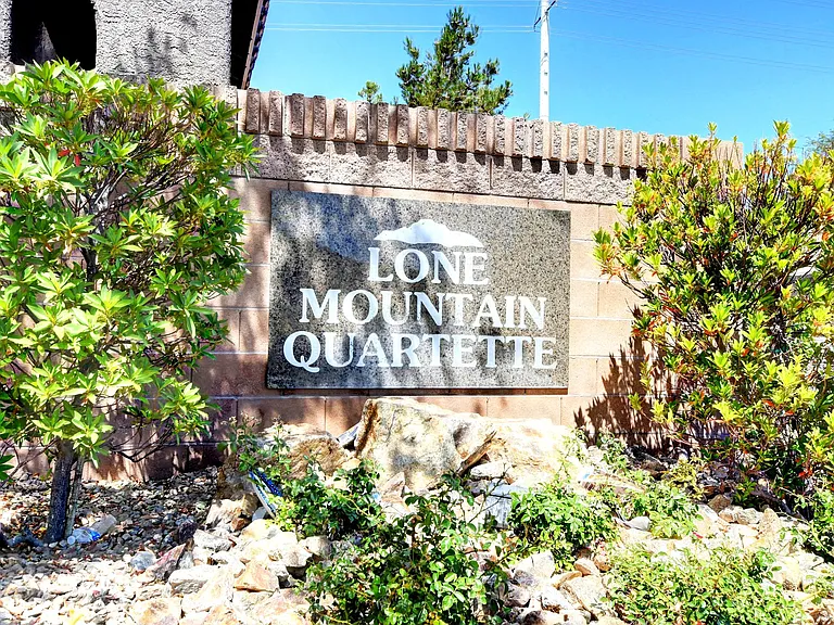 10616 Bear Lodge Ct — Photo 25
