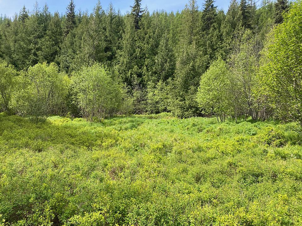 Nhn Yaak River Rd, Troy, MT 59935 Zillow