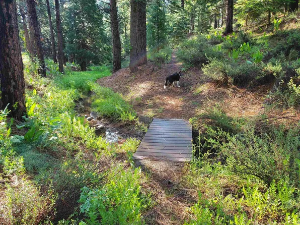 012-190-024 Main St, Calpine, CA 96124