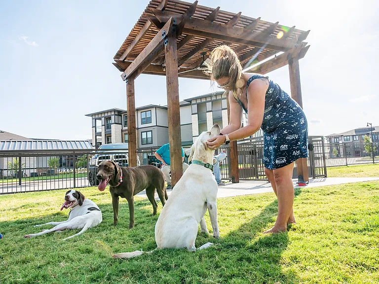 Dog Park