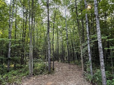 (Undisclosed Address), Exeland, WI, 54835