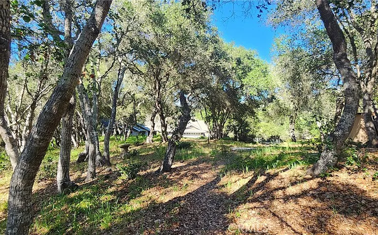 1961 Vineyard View Ln — Photo 21