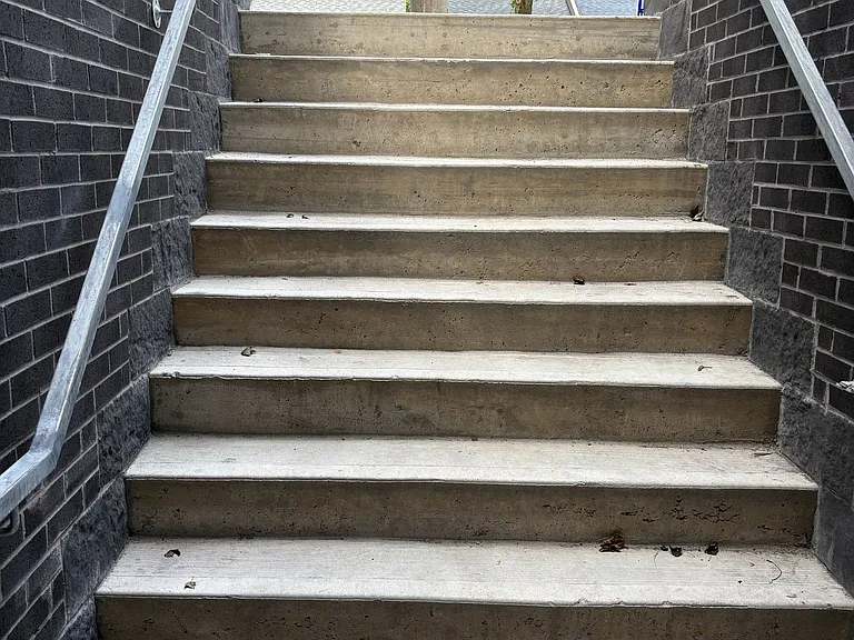 249 Silverthorn Ave #LOWER — Photo 2