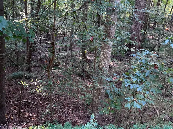 0 Oak Leaf Dr, Stockbridge, GA 30281