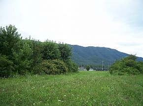 2nd image of Camp Creek Road