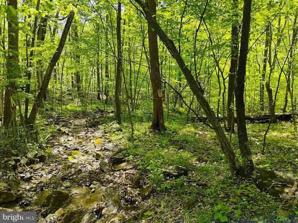 Sir Johns Run Rd, Berkeley Springs, WV 25411